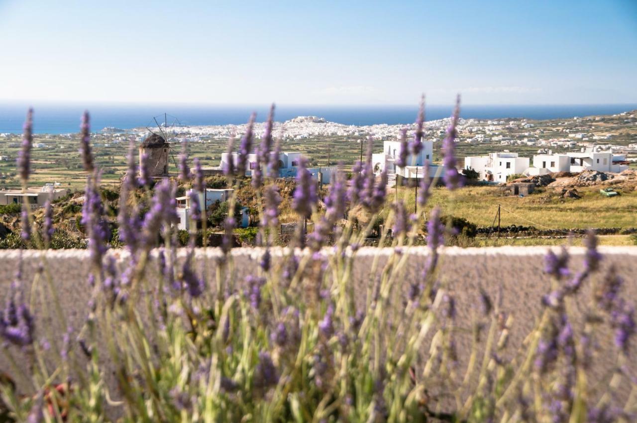 דירות Glinado Naxos Naxos View מראה חיצוני תמונה